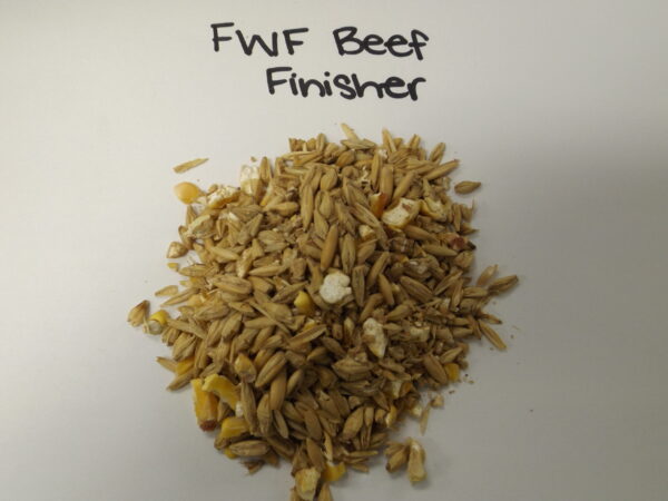 Beef Finisher Ration