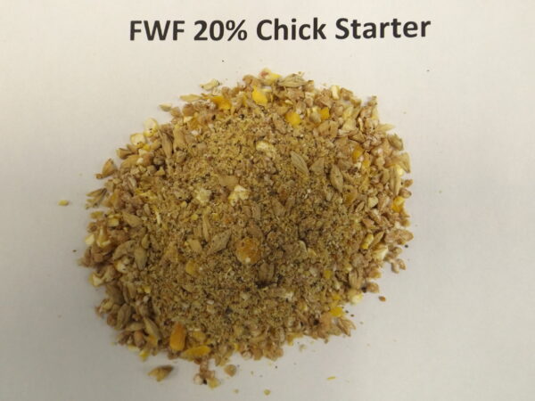 20% Chick Starter