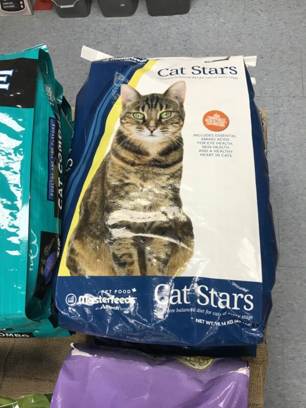 Masterfeeds Cat Stars